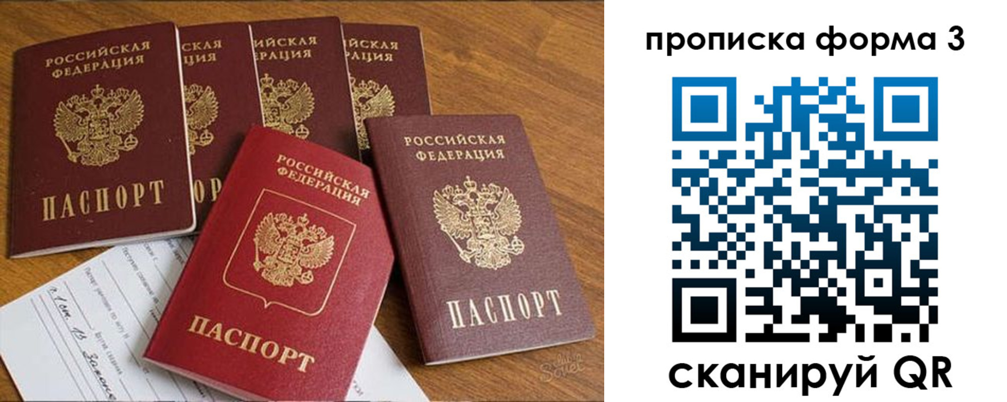 прописка 2025 в Зеленогорске